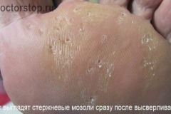 9SalLNHbkYY